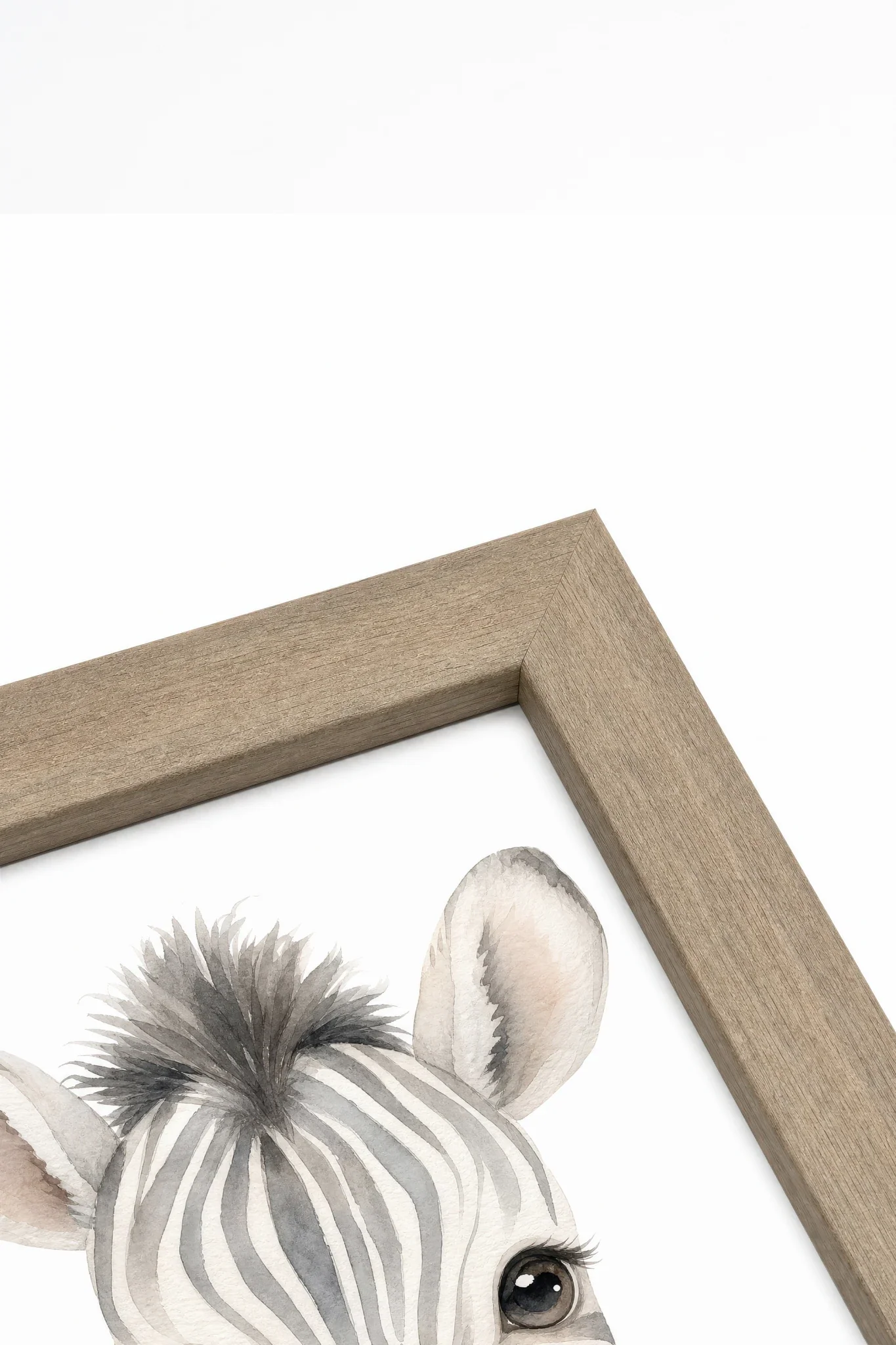LITTLE ZEBRA, Artwork on Stretched Canvas, Framed in Brown Oak (collective)