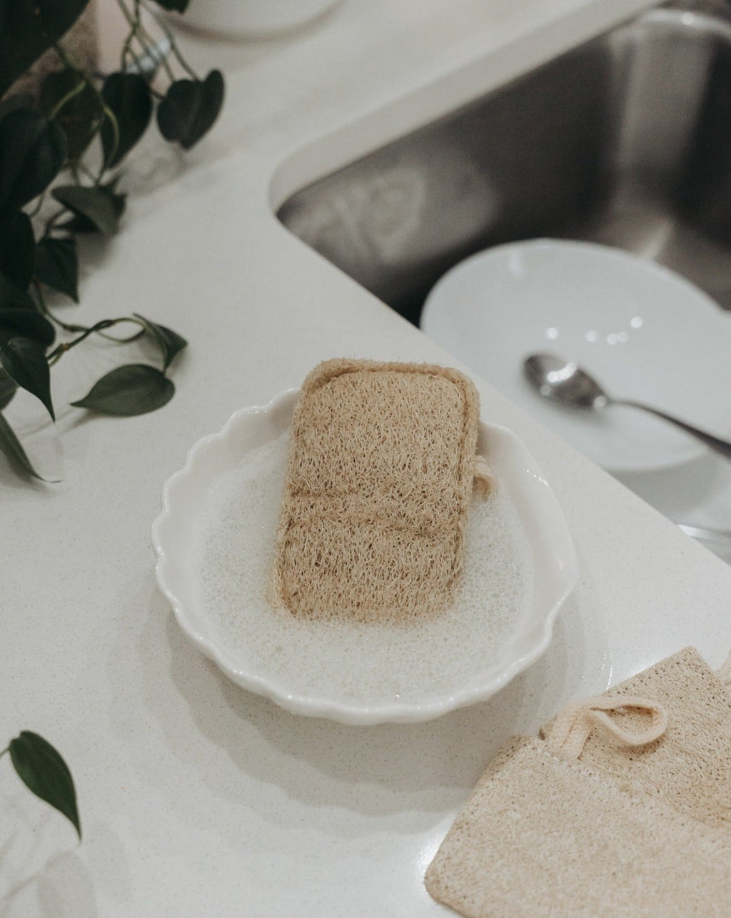 Lot de 3 éponges luffa naturelles