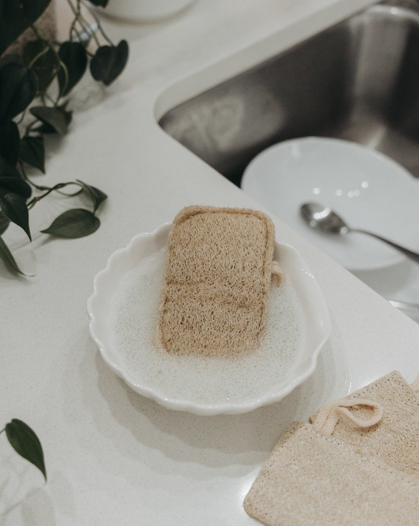 Lot de 3 éponges luffa naturelles