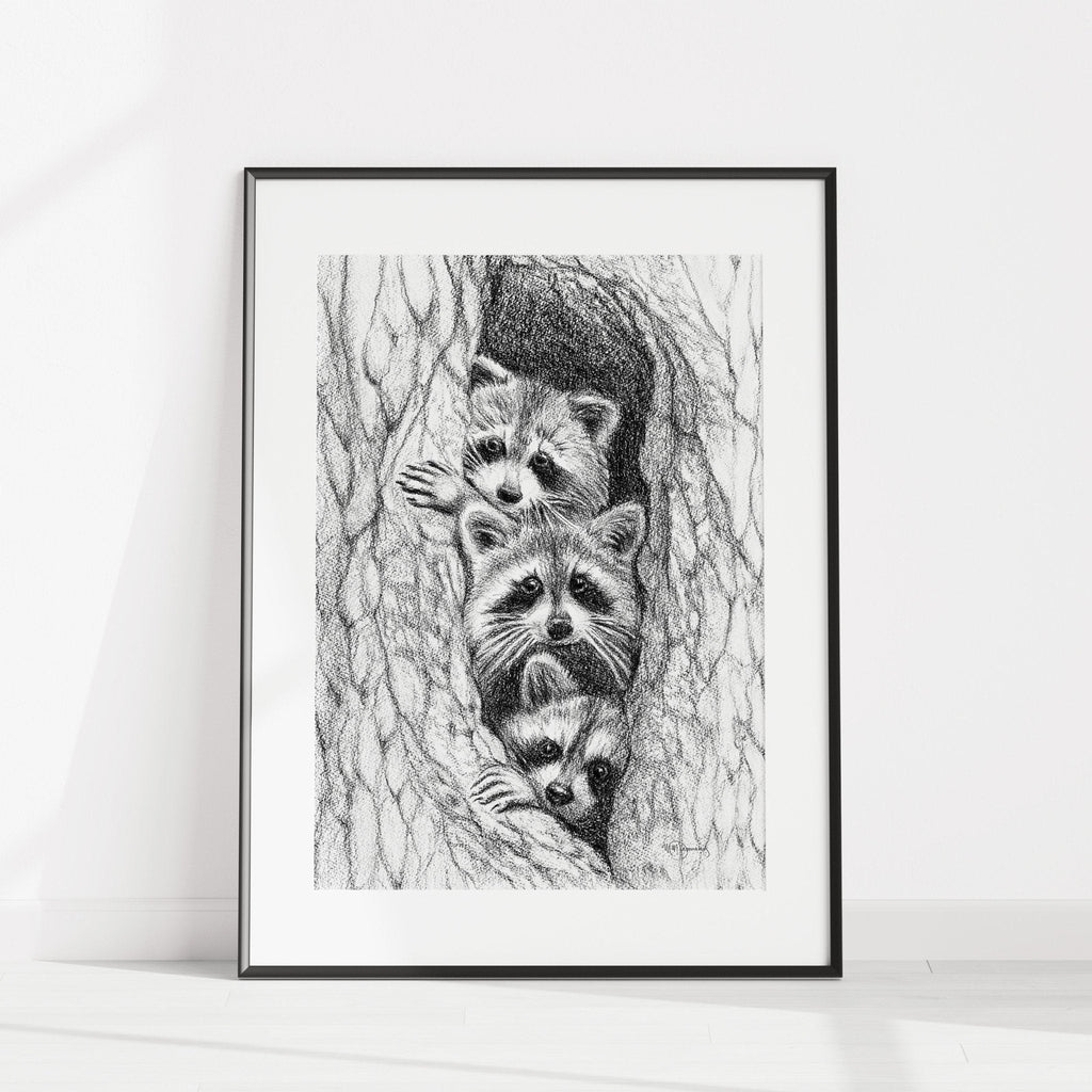 3 Raccoons in a tree - animal art print