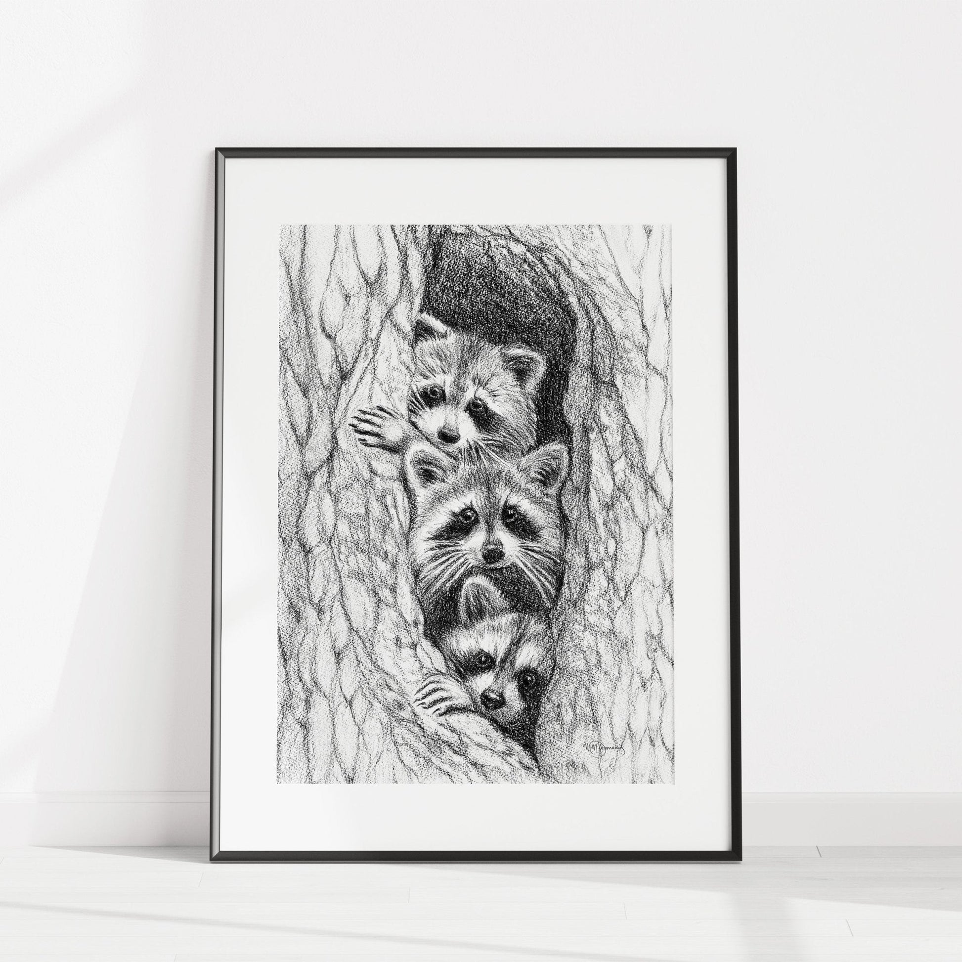 3 Raccoons in a tree - animal art print
