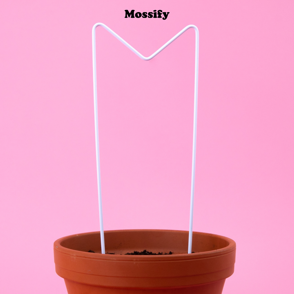 "M" Metal Trellis