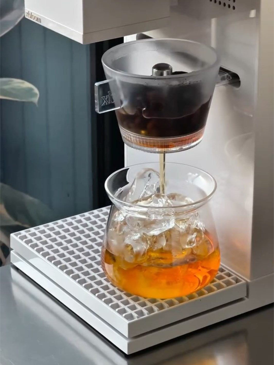 xBloom Studio Omni Tea Brewer