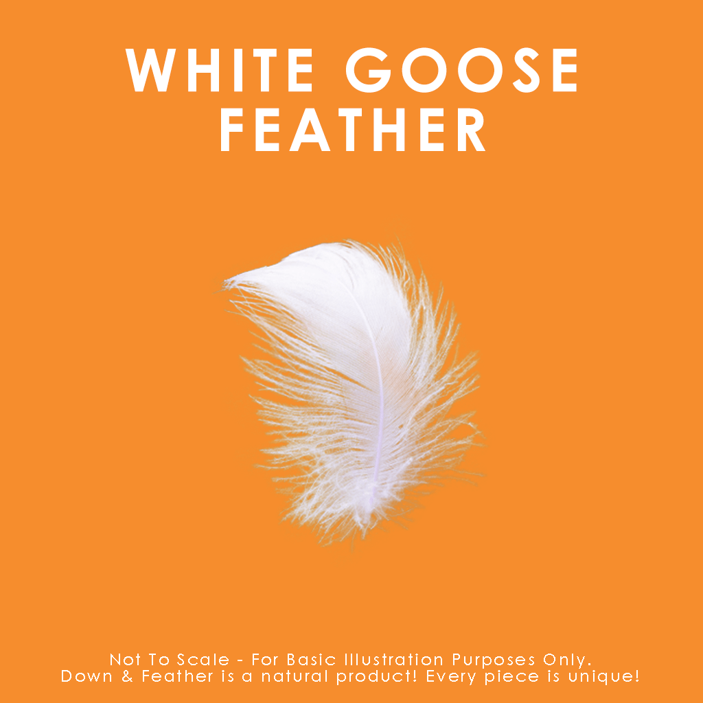 Oreiller en plumes d'oie blanche