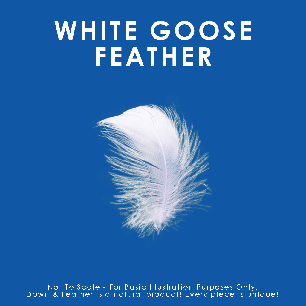 Oreiller matelassé en plumes d'oie blanche