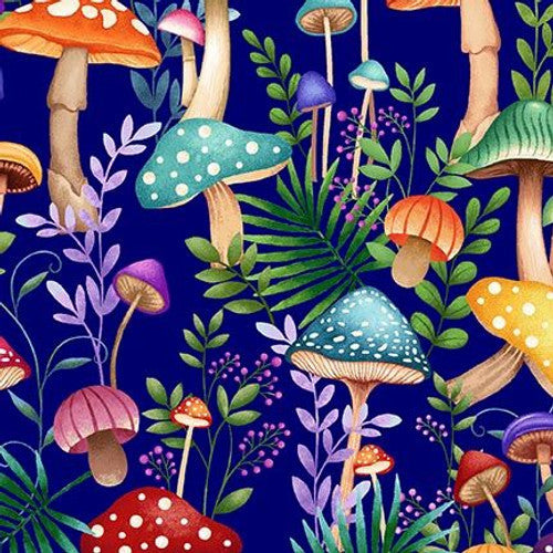 Sur le chemin des fées - Champignons royaux multiples - 3430-77