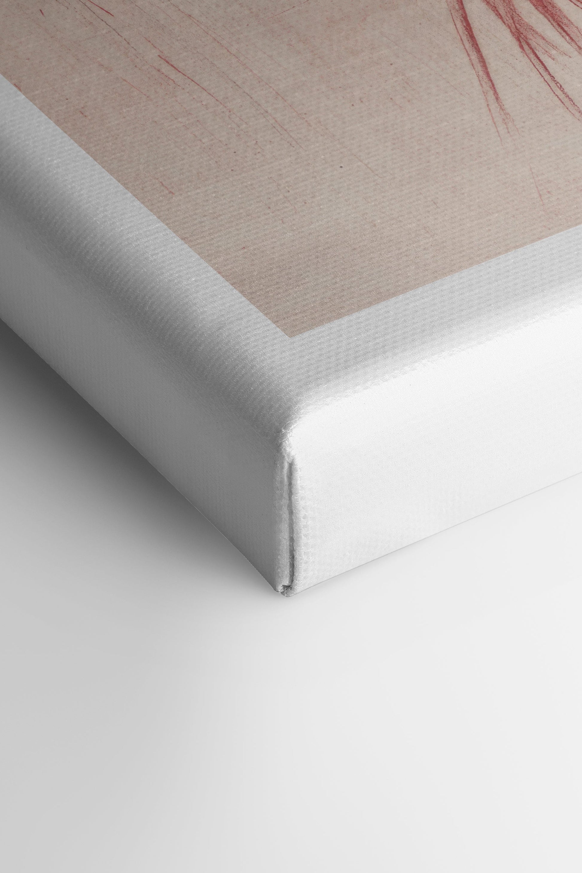 Rose Petals, Stretched Canvas Artwork