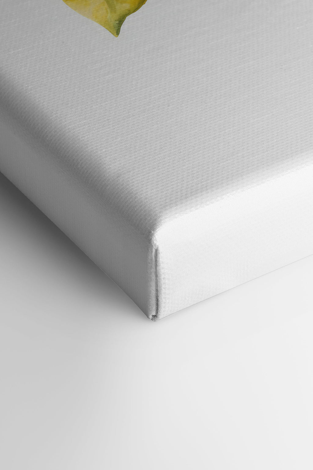 Stretched Canvas Artwork: Branch of Zest