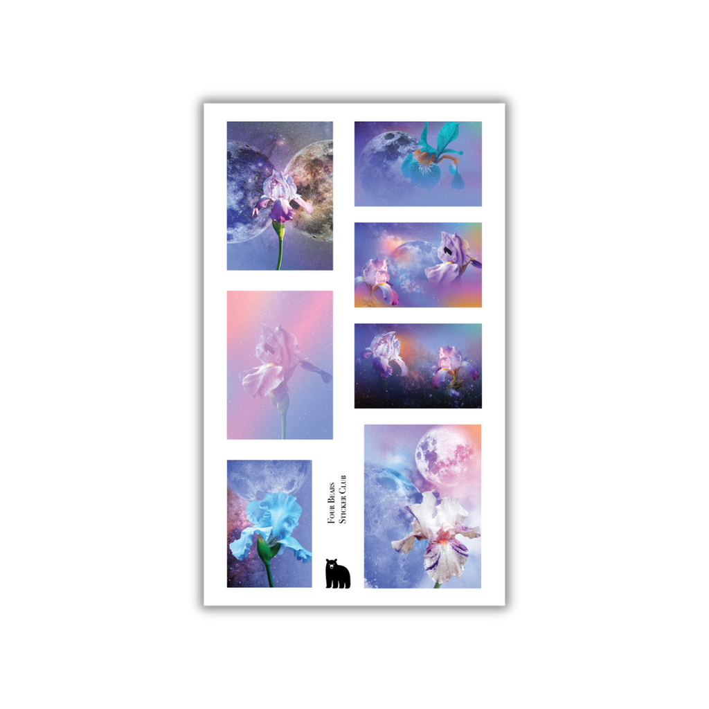 Cosmic Iris