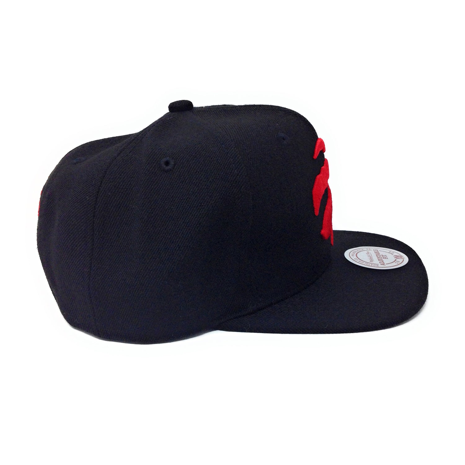 Mitchell and Ness Toronto Raptors Partial Claw Logo Red/Black Snapback Hat