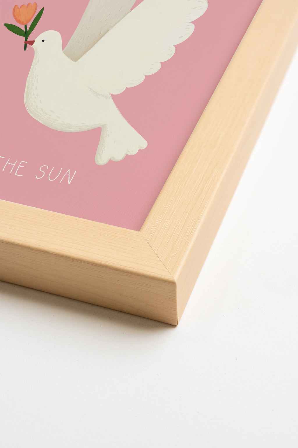 Sun Dove, Framed Canvas