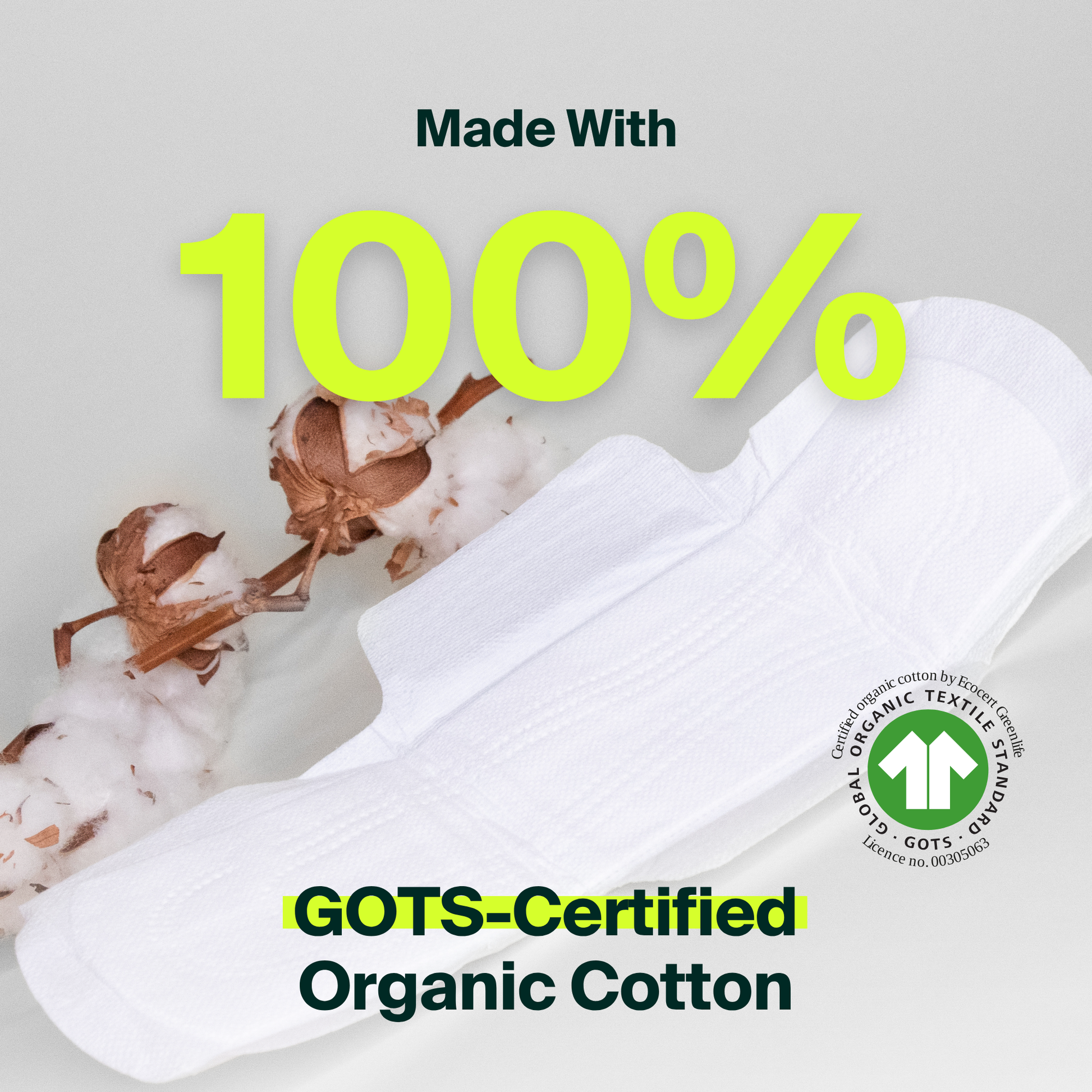 100% Organic Cotton Night Pads - Bulk (100)