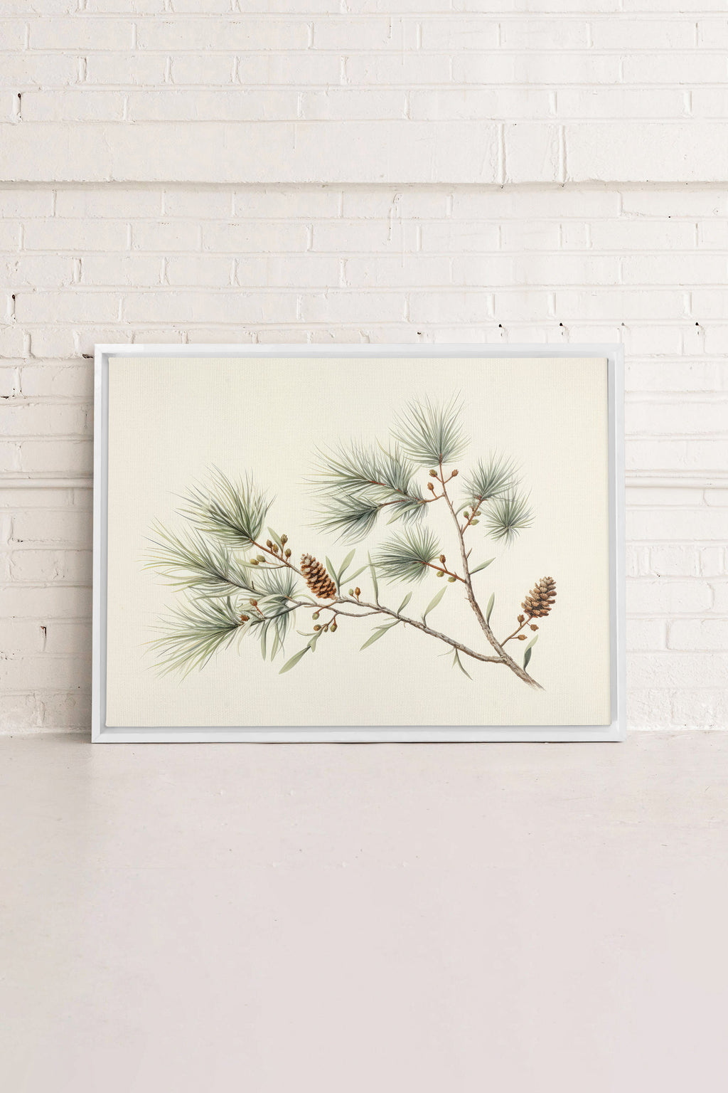 Conifer Branch, Stretched Canvas Artwork