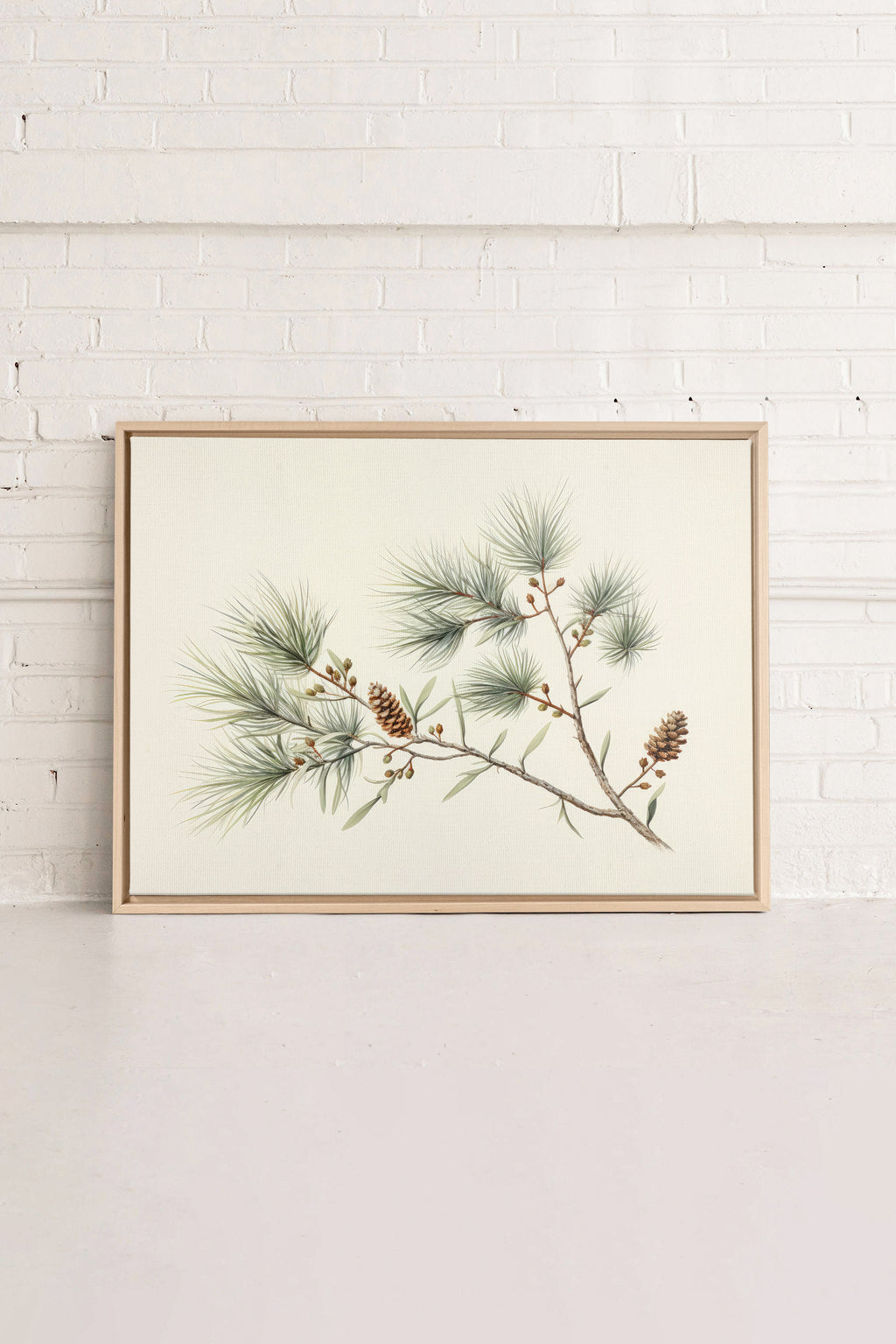 Conifer Branch, Stretched Canvas Artwork