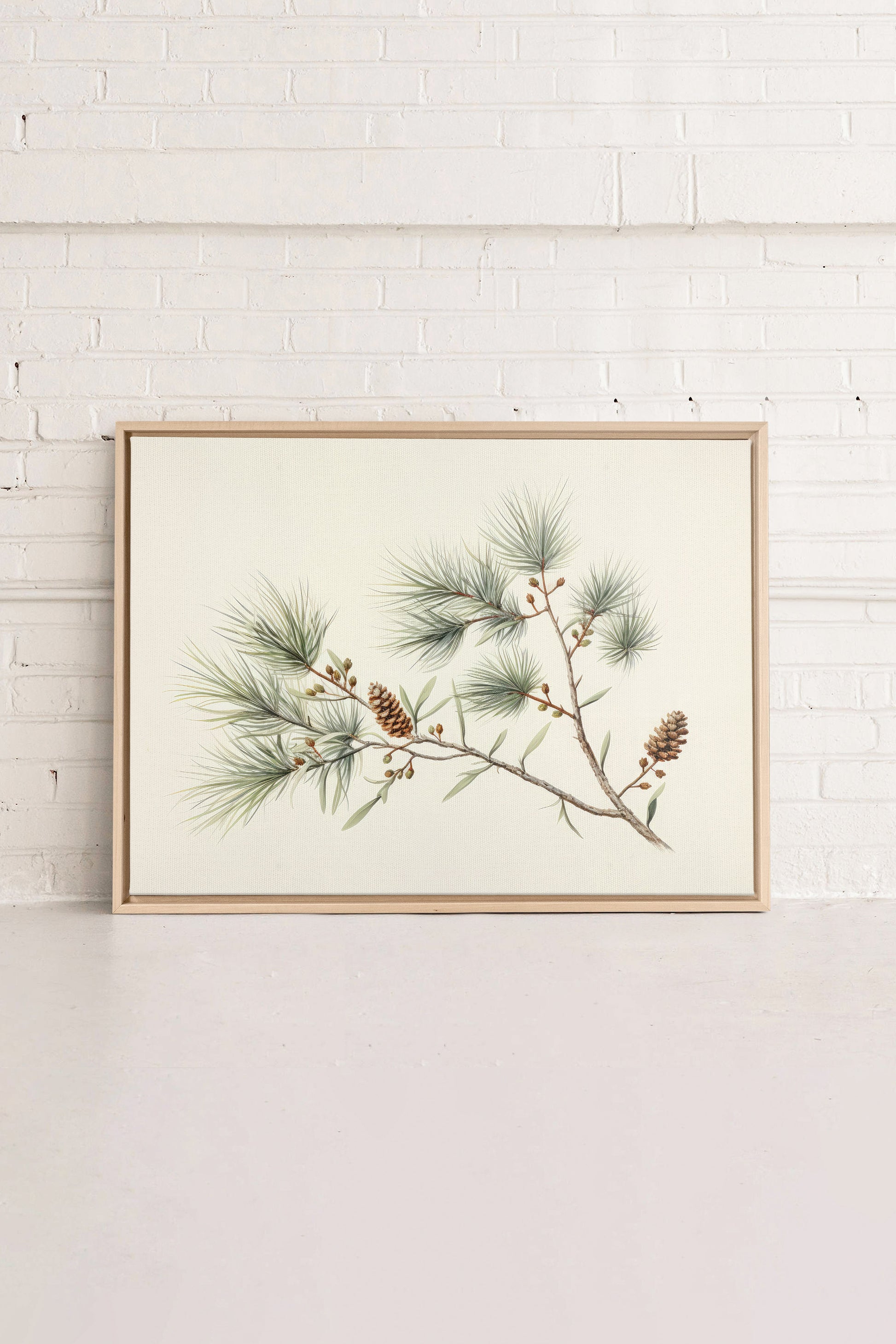 Conifer Branch, Stretched Canvas Artwork