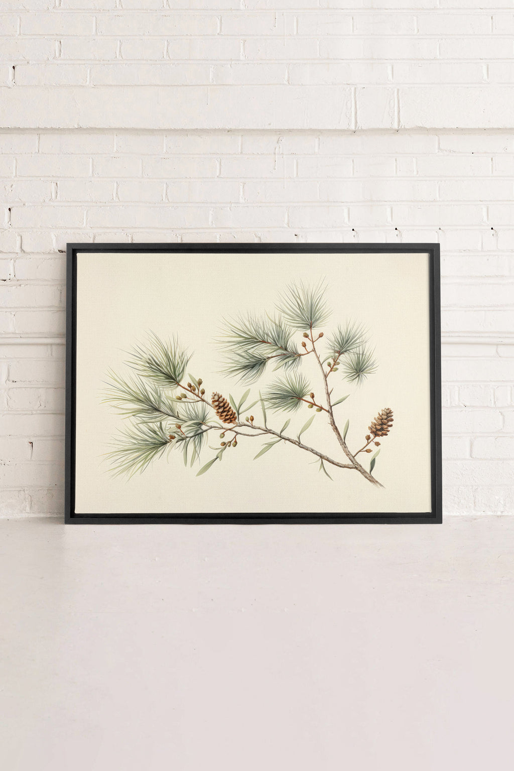 Conifer Branch, Stretched Canvas Artwork