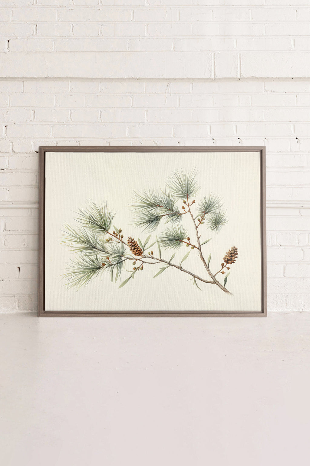 Conifer Branch, Stretched Canvas Artwork