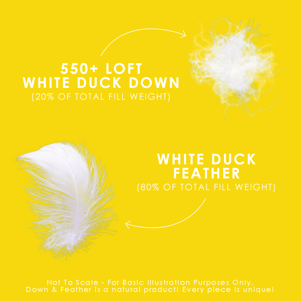 Couette en plumes et duvet blanc