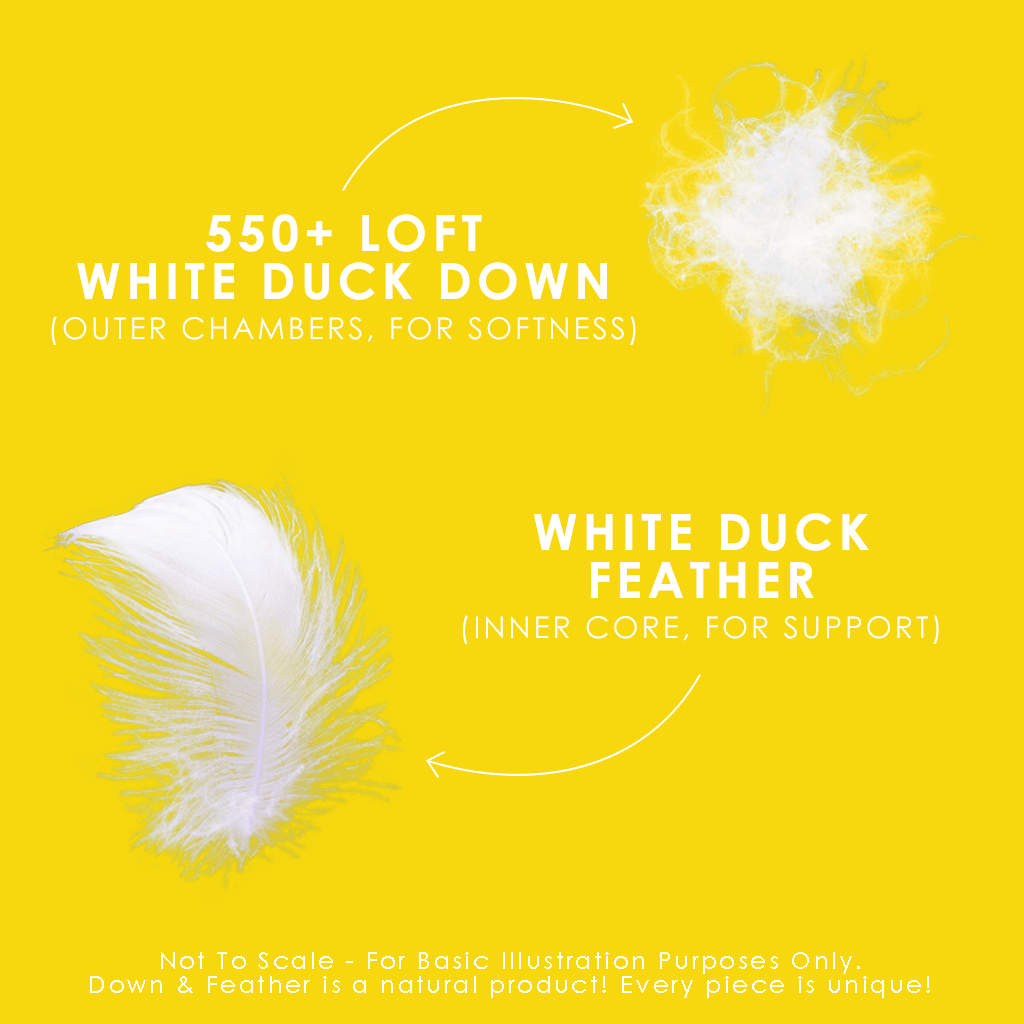 Oreiller en plumes et duvet blanc Down Perfect™
