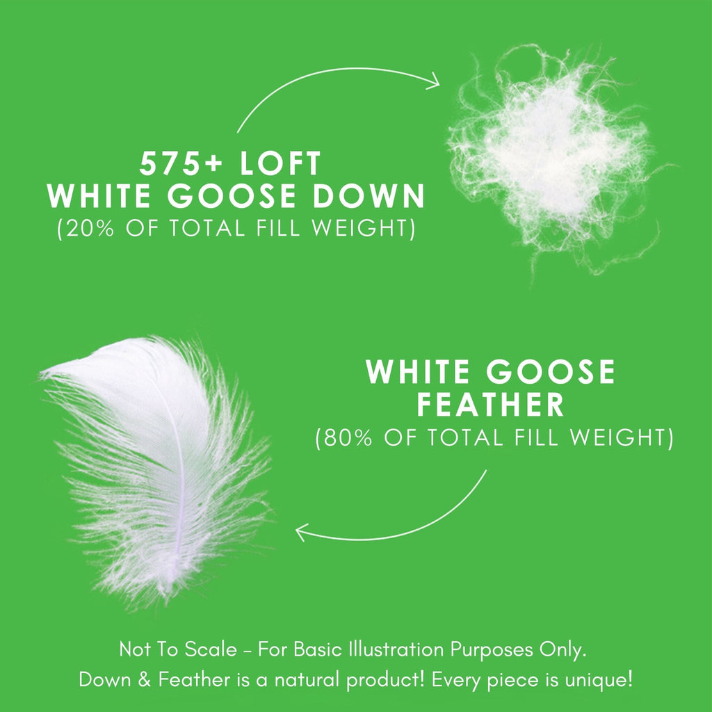 Couette en plumes et duvet d'oie blanche