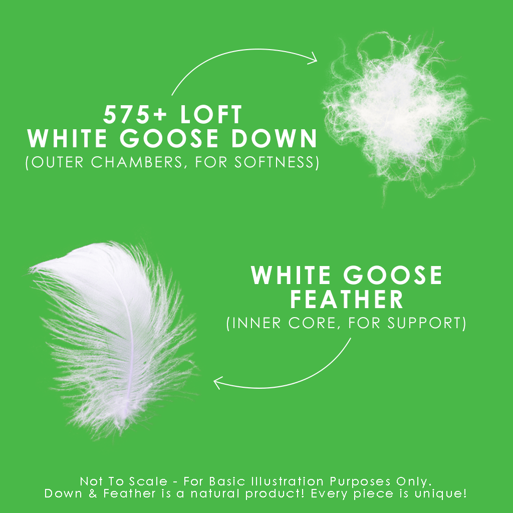 Oreiller Down Perfect™