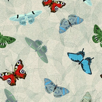 Mon Flutter par Stof - Papillons en vol – Gris 4501-420