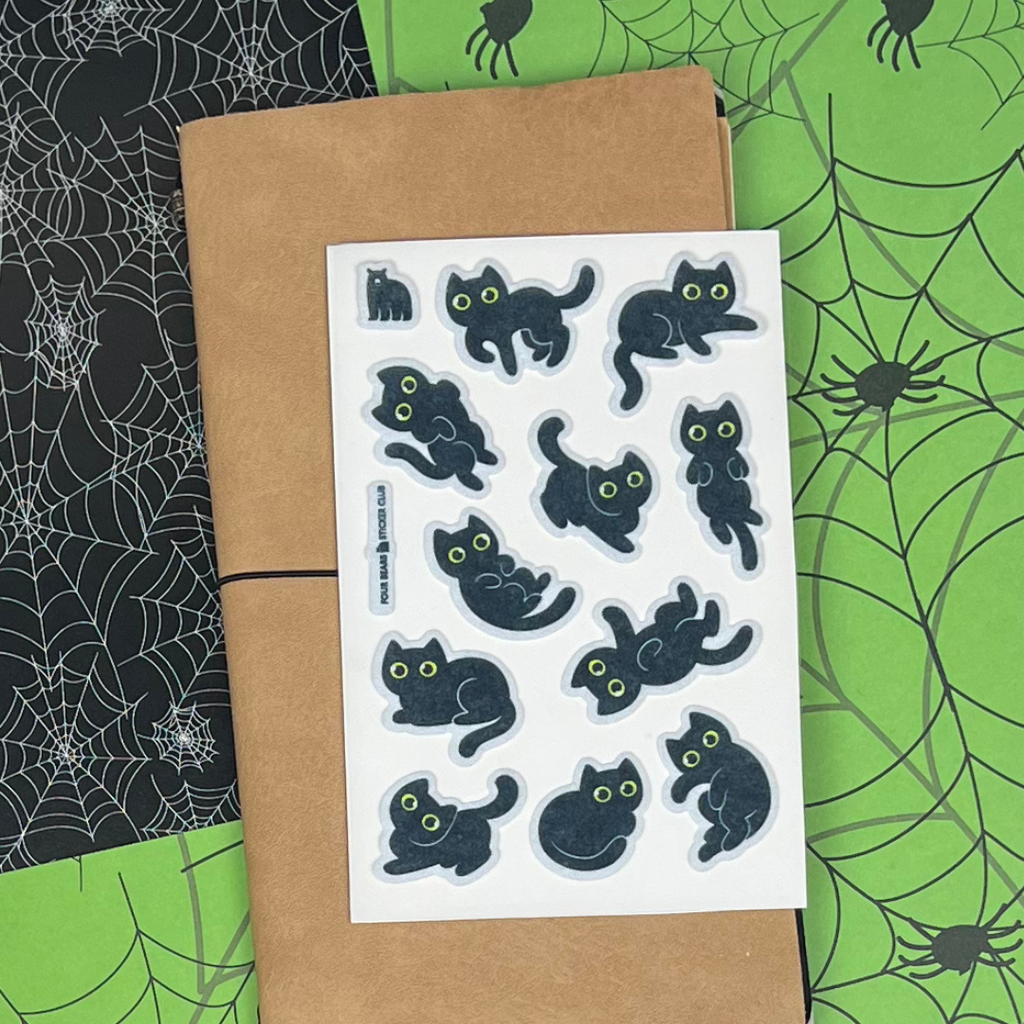 Chats noirs duveteux