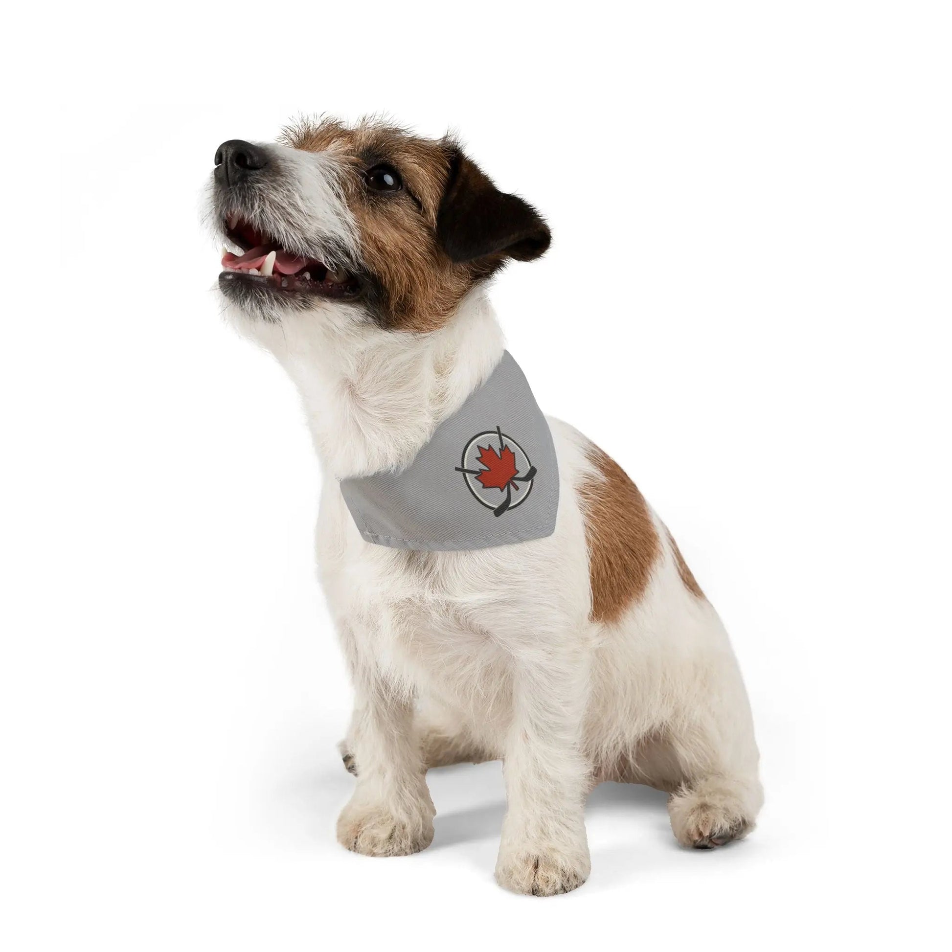 Bandana élégant pour animaux de compagnie, parfait pour les chiens, la mode canine, la fête du Canada, accessoires pour animaux, cadeau de Noël, équipement mignon pour chien