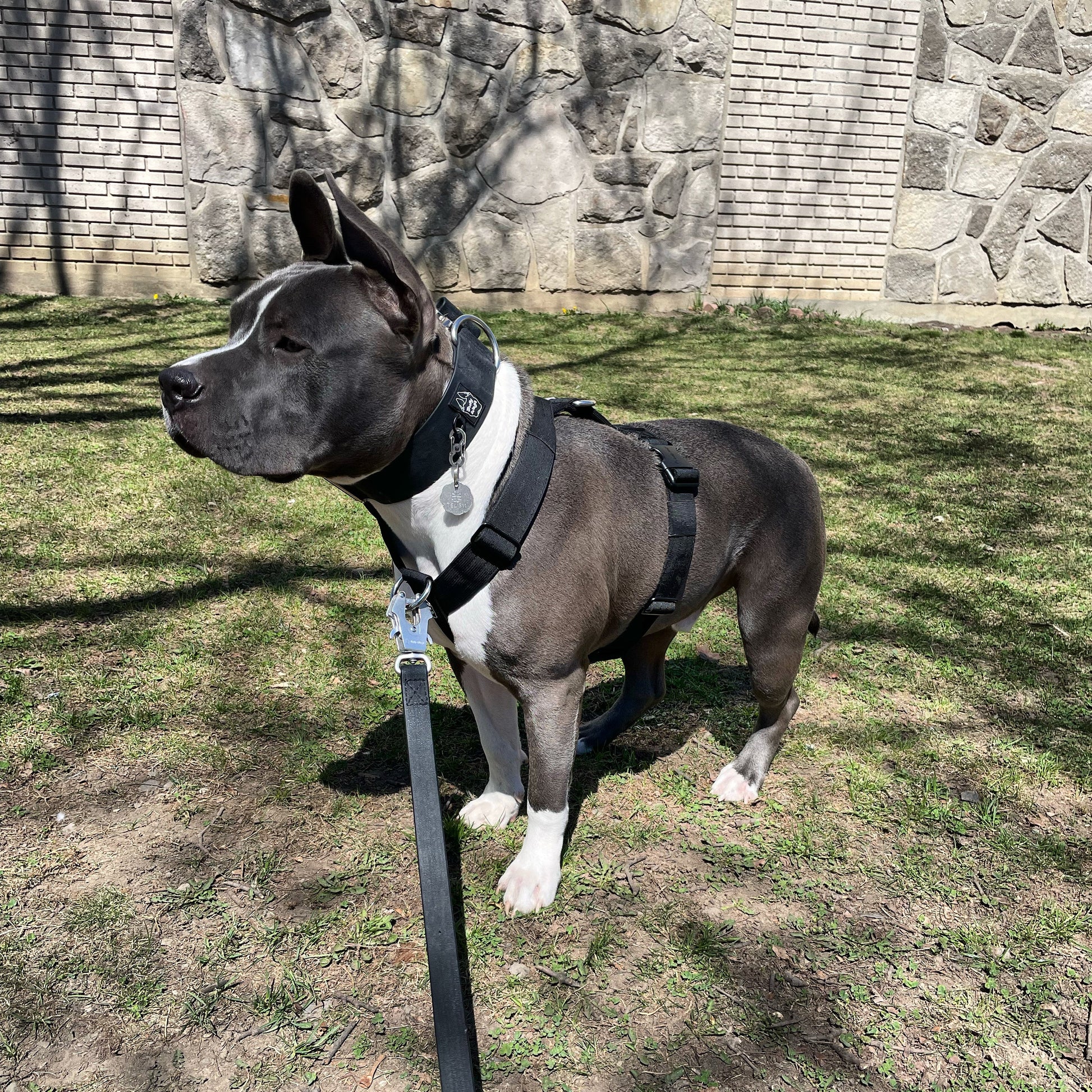 Harnais d'aventure à sangle en Y - Noir