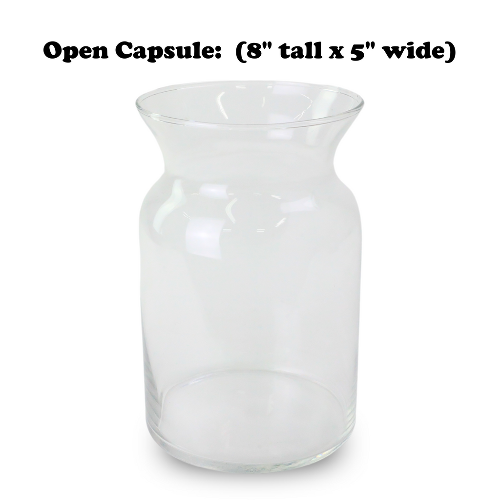 Mossify Terrarium Kit