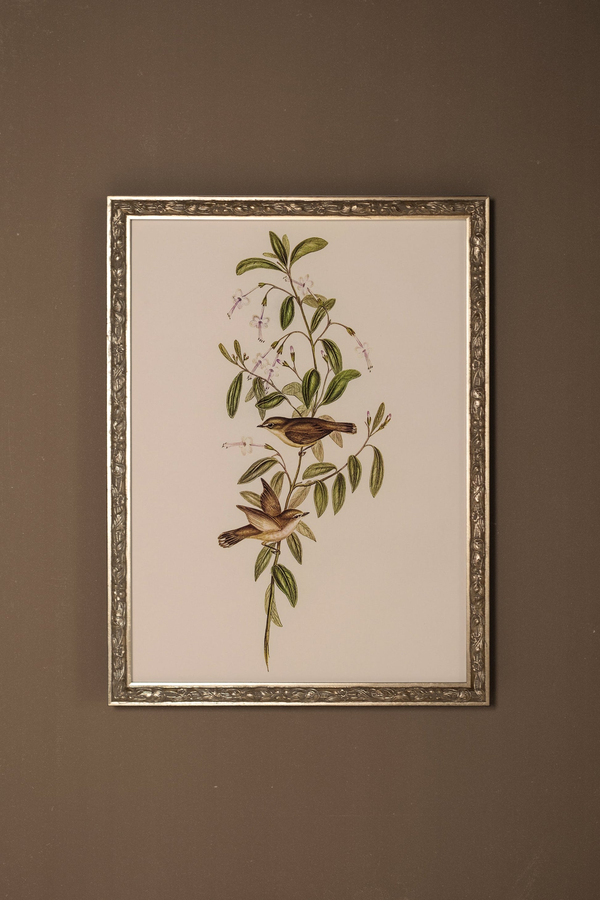 Spring Awakening, Vintage Silver Frame
