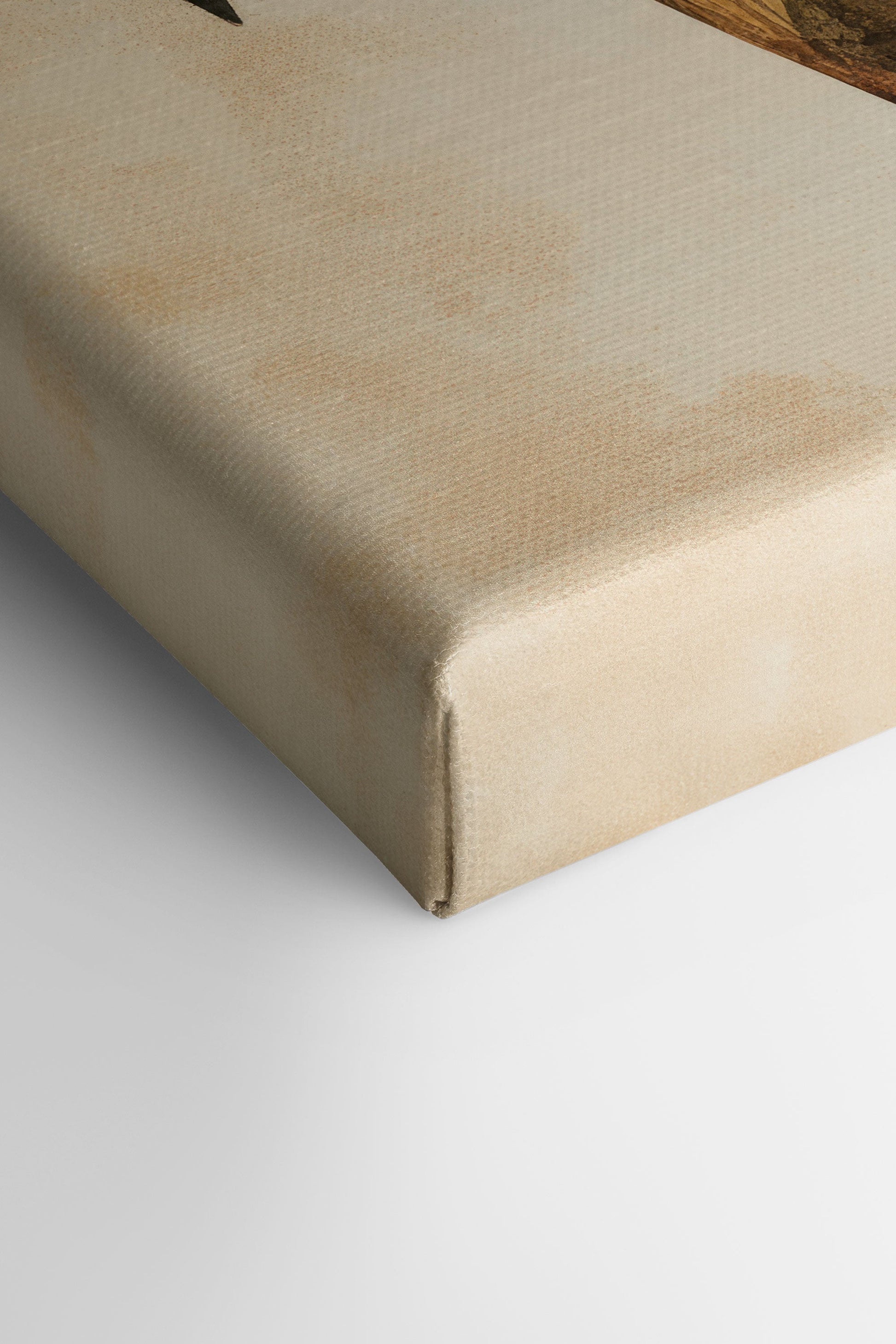 PROVENCE GRACE, Stretched Canvas Artwork