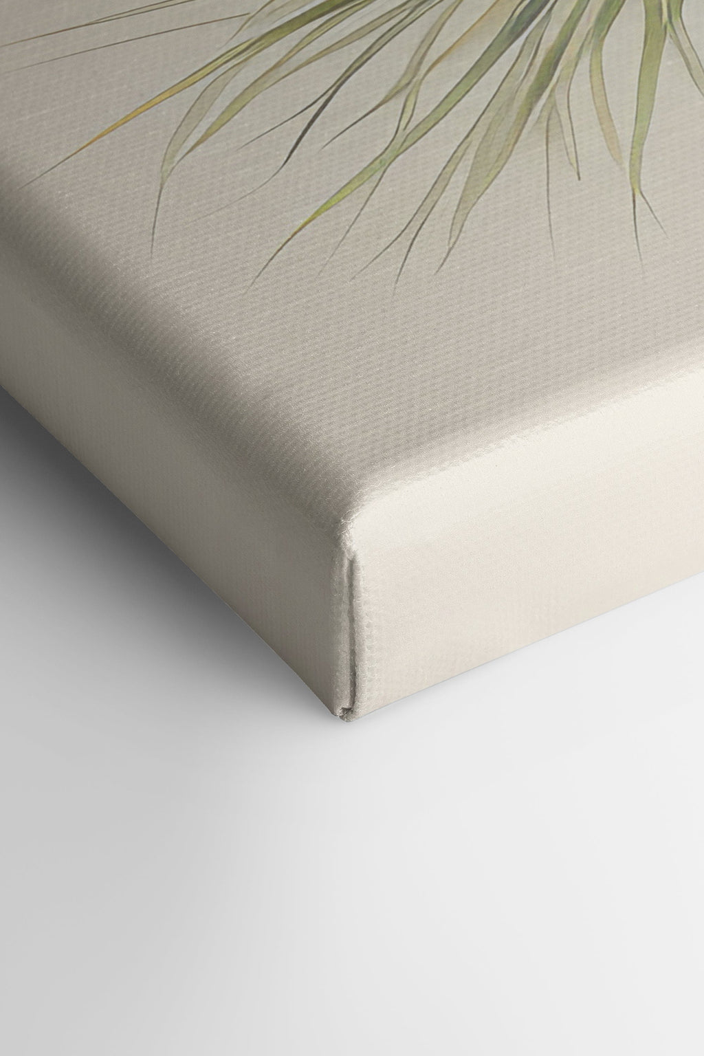 Conifer Branch, Stretched Canvas Artwork
