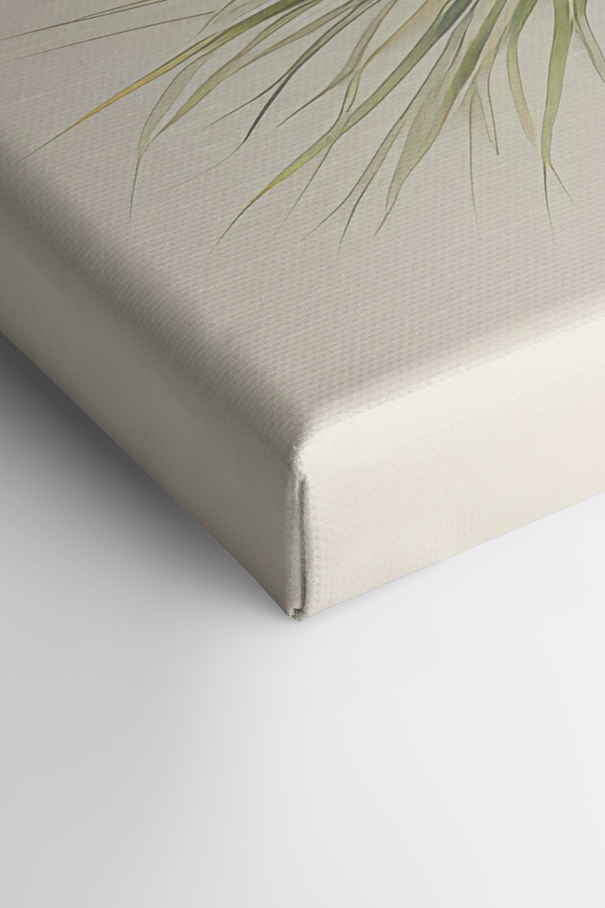 Conifer Branch, Stretched Canvas Artwork