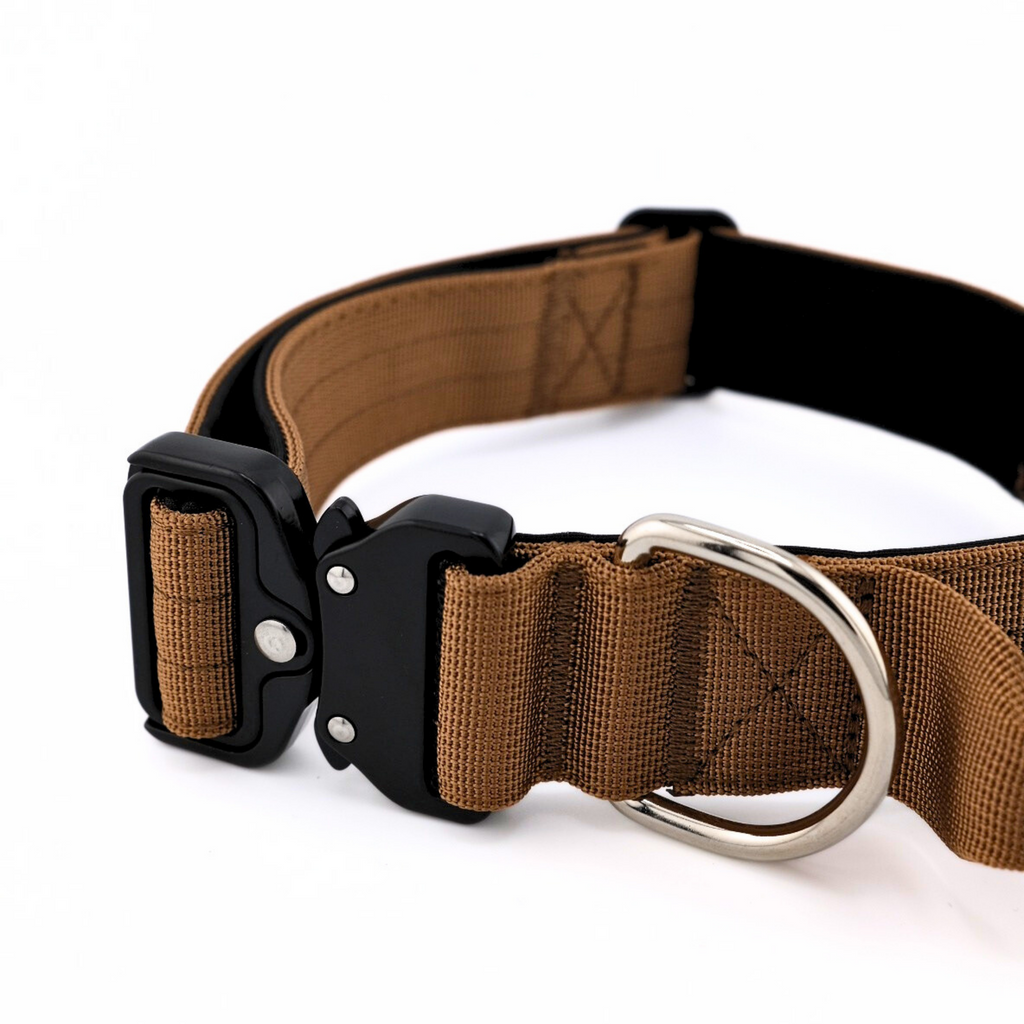 Collier pour chien robuste