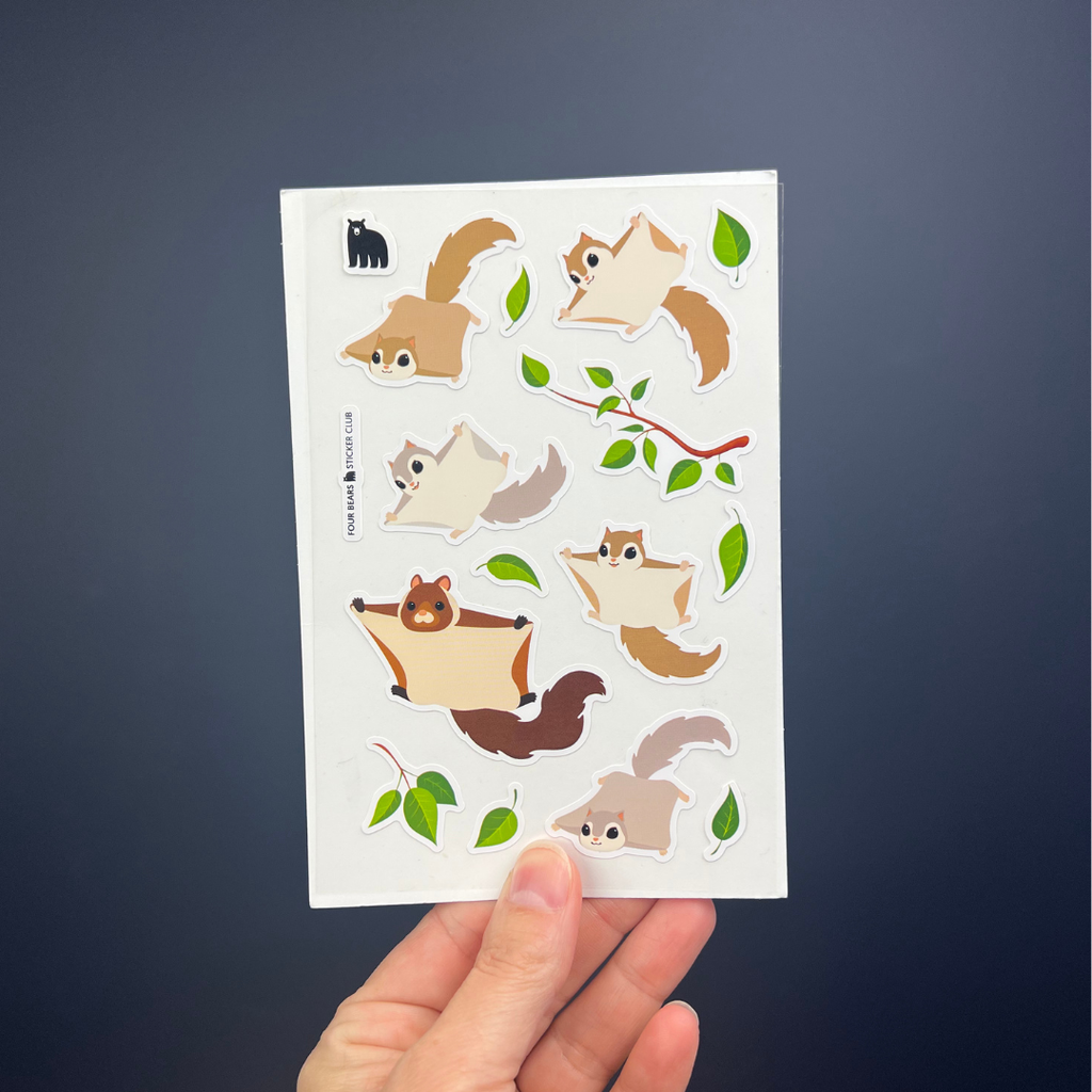 Flying Squirrels
