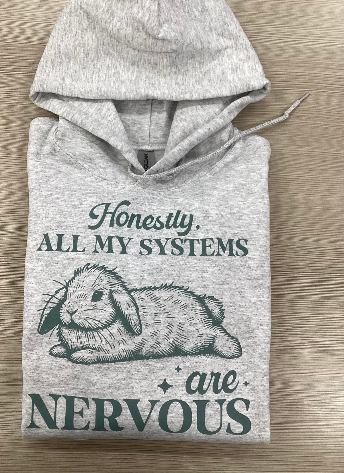 Honestly, All My Systems Are Nervous Bunny Hoodie
