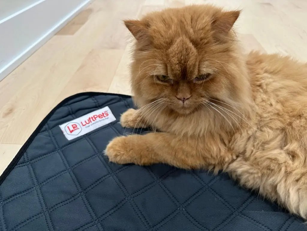 5-Piece Fleece Bedding Set – Perfect for Guinea Pigs, Rabbits,  Dogs & Cats- Value Pack LUFTPETS