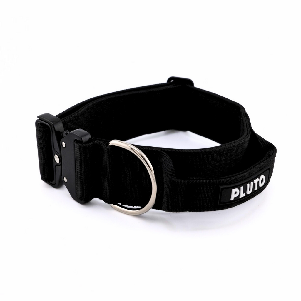 Collier pour chien robuste