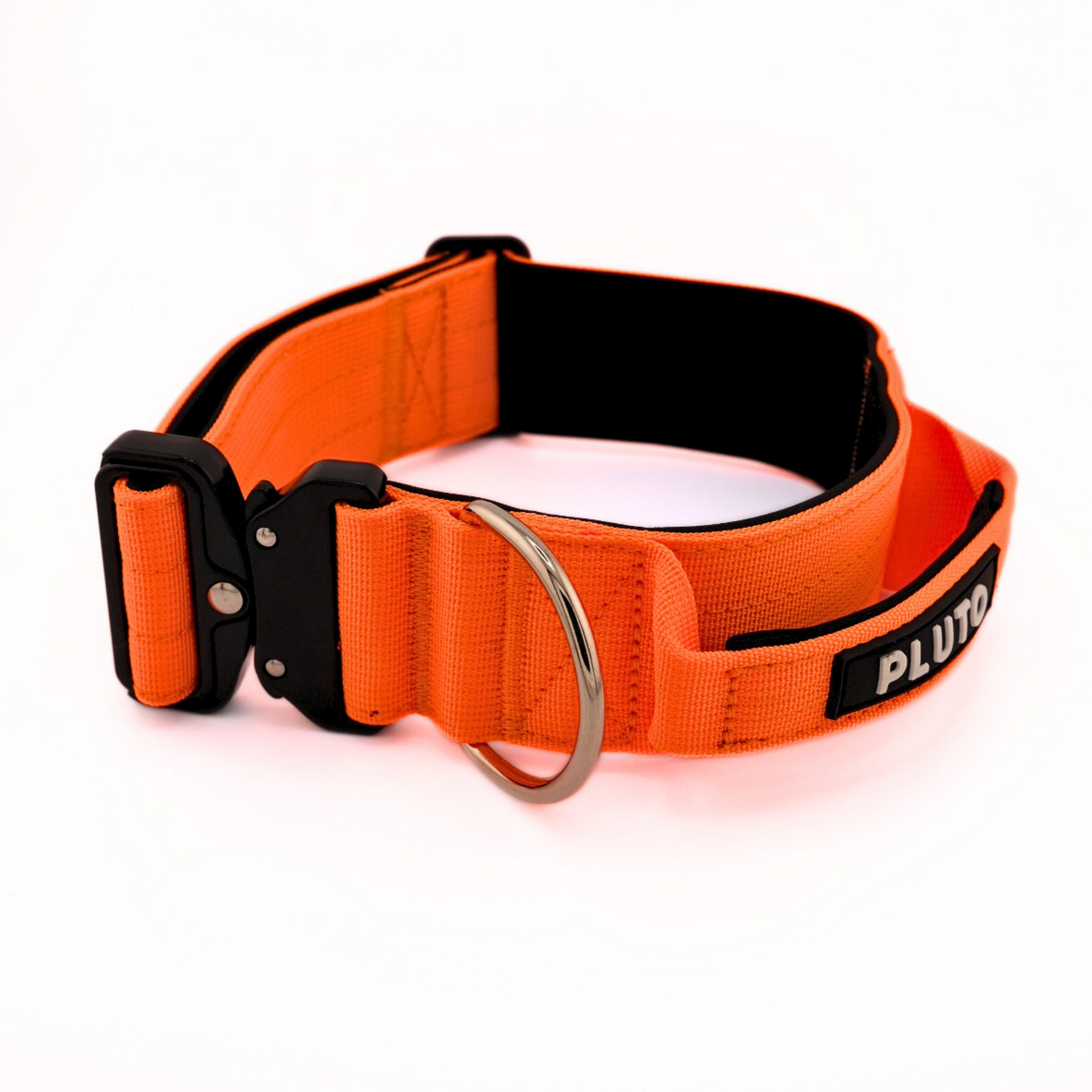 Collier pour chien robuste