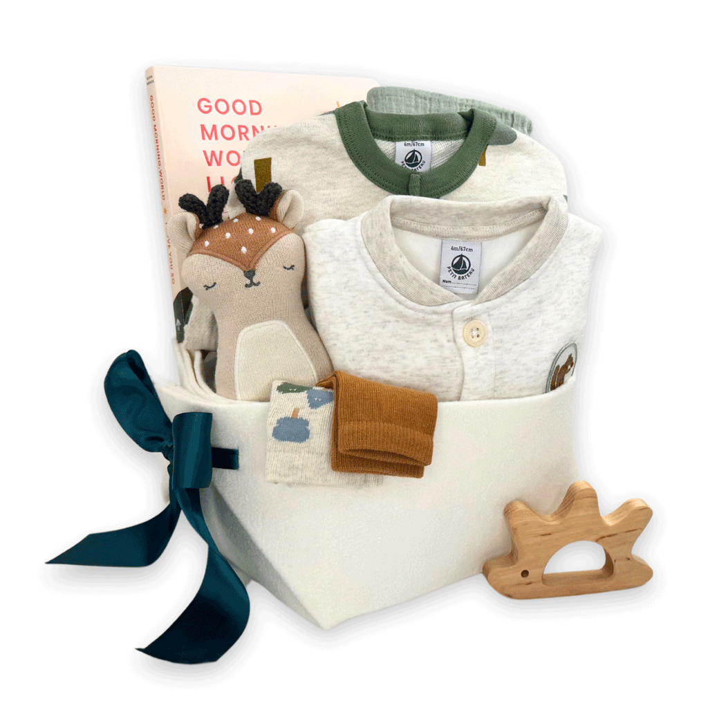 Winter Wonderland Baby Gift Basket