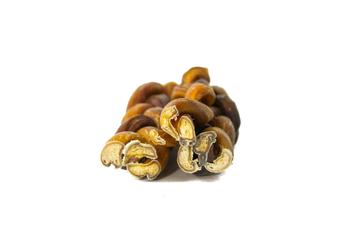 Bâton d'intimidation tressé de 6 pouces