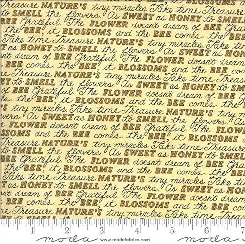 Deb Strain - Bee Grateful - Mots jaune miel - 19963-12