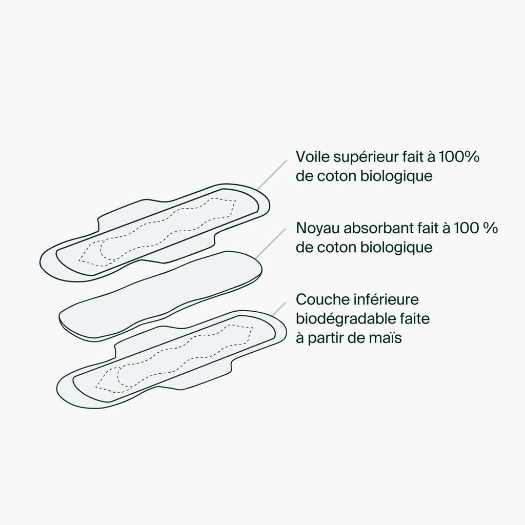 Serviettes hygiéniques quotidiennes 100 % coton biologique