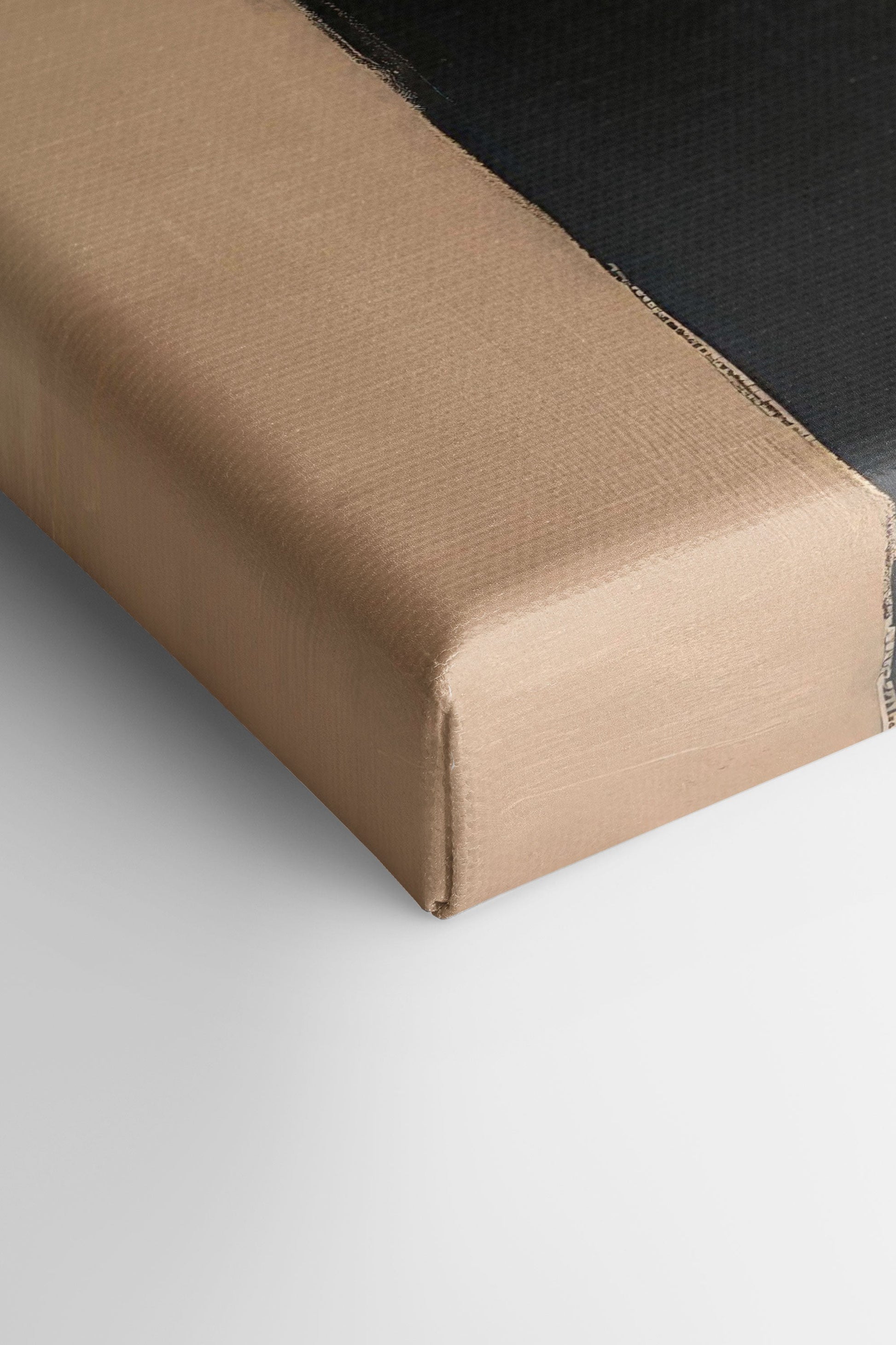 SHADOW MEETS LIGHT, Stretched Canvas Artwork