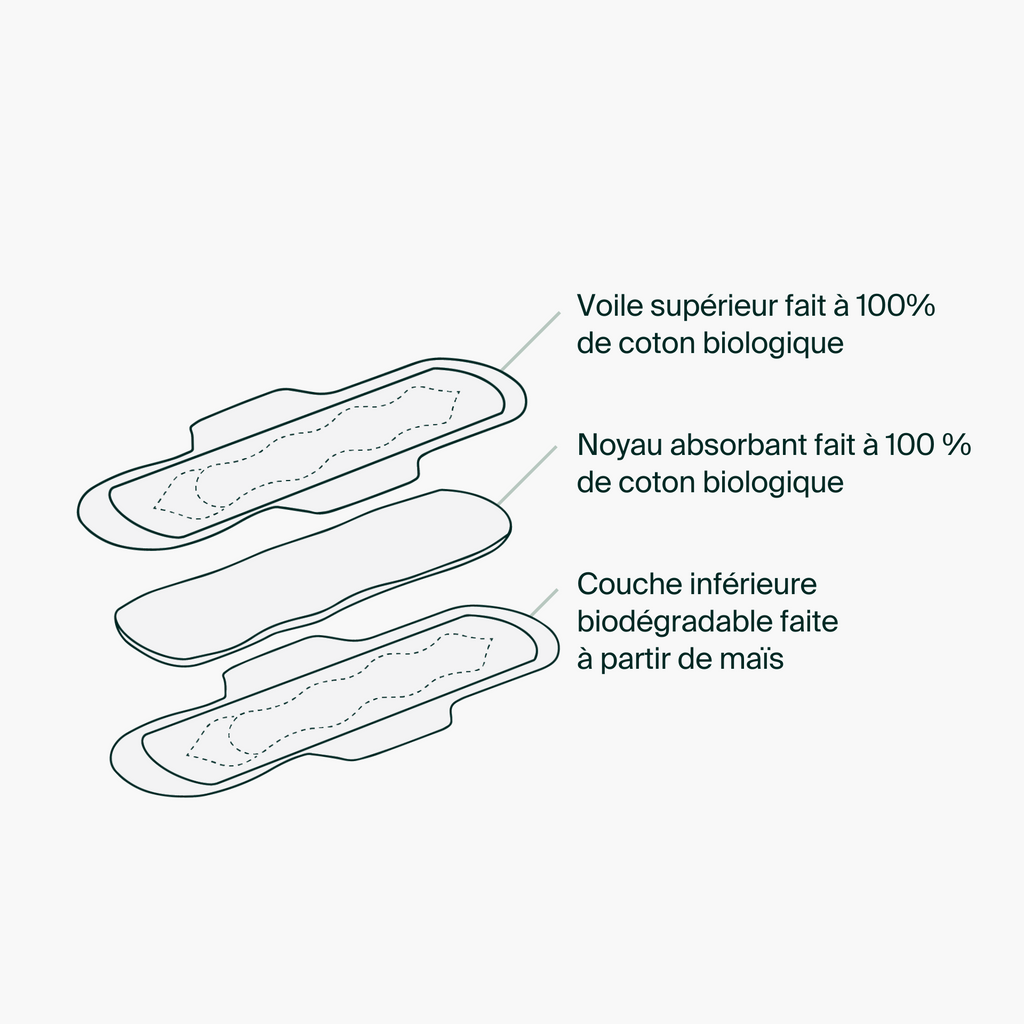 Sachets individuels - Serviettes hygiéniques régulières 100 % coton biologique