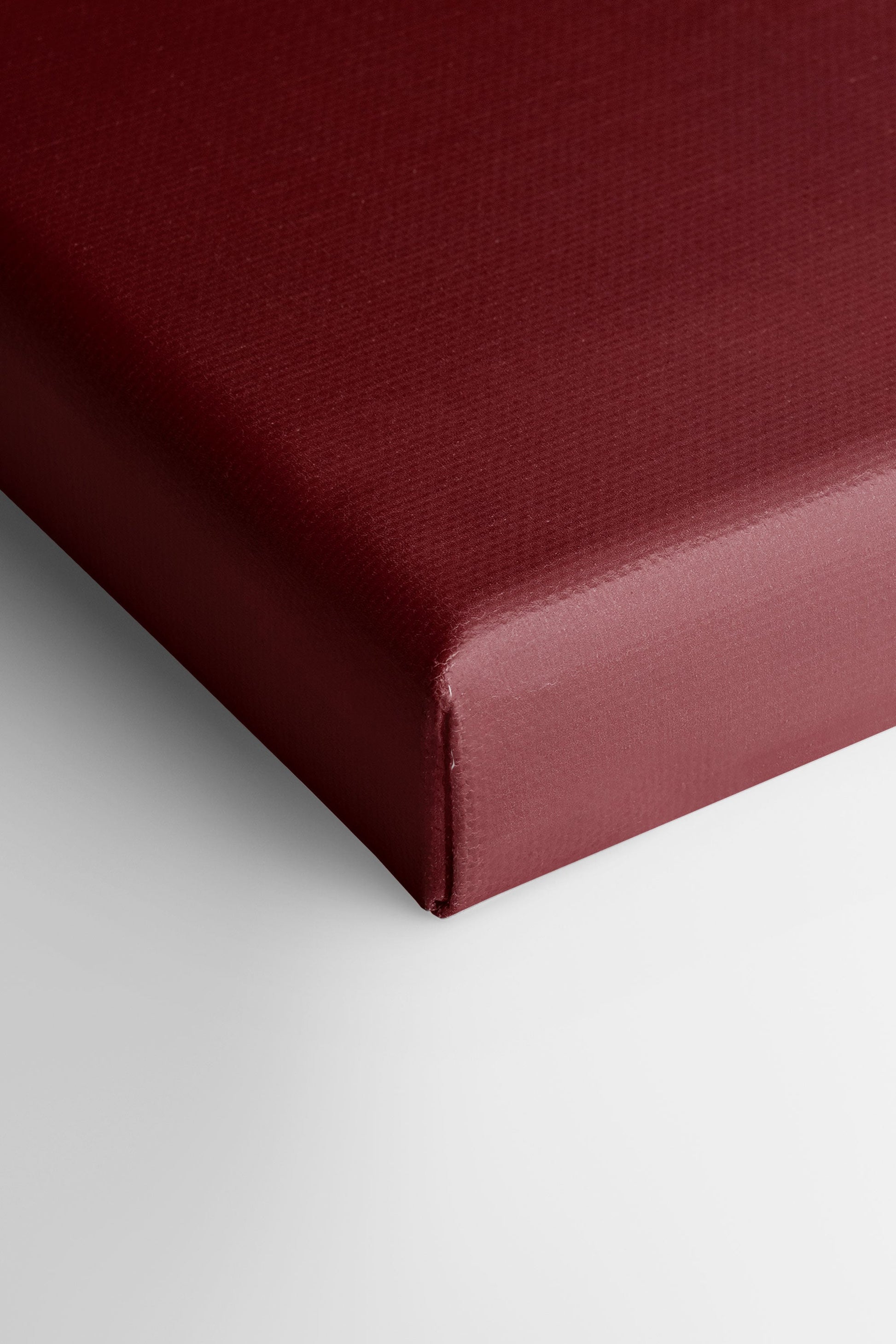 Red Cherry, Stretched Canvas Artwork