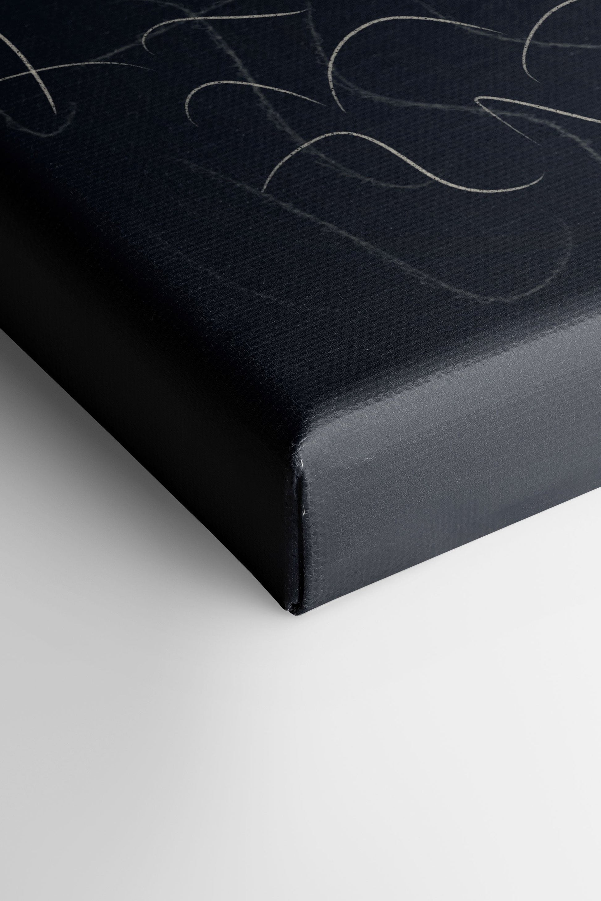 Shadow, Stretched Canvas Artwork