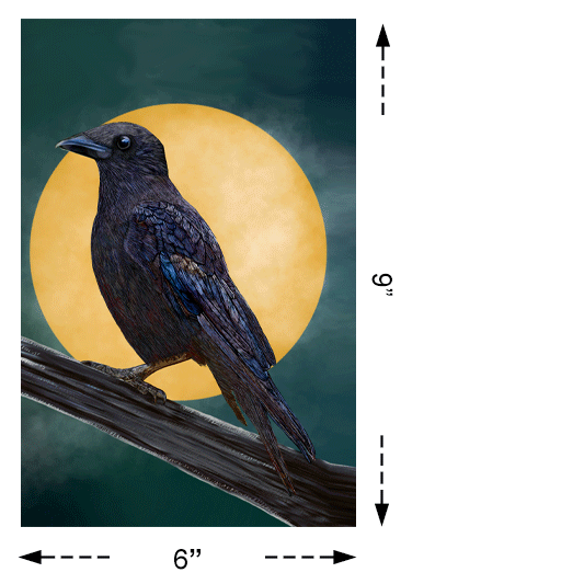 Notebook, Journal - American Crow