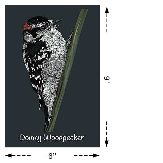 Notebook, Journal - Downy Woodpecker
